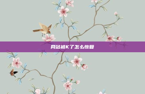 网站被K了怎么恢复