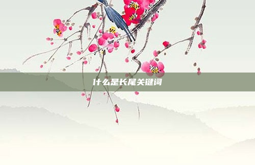 什么是长尾关键词
