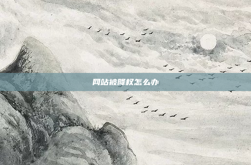 网站被降权怎么办