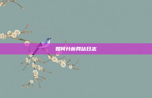 如何分析网站日志