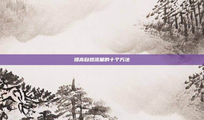 提高自然流量的十个方法