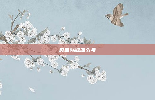页面标题怎么写