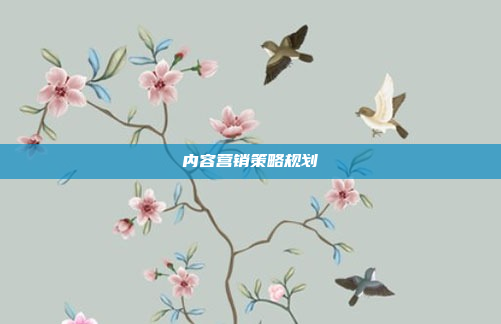 内容营销策略规划