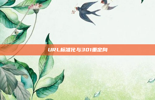 URL标准化与301重定向