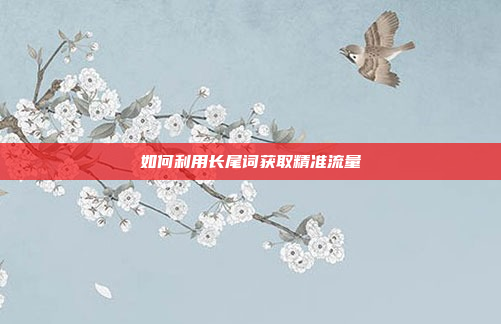 如何利用长尾词获取精准流量