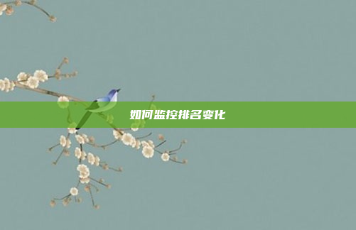 如何监控排名变化