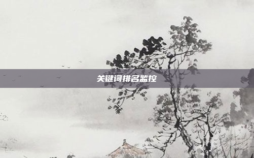 关键词排名监控