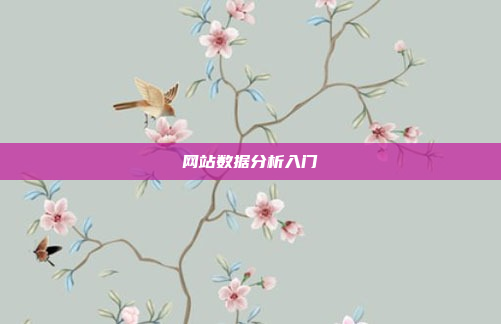 网站数据分析入门