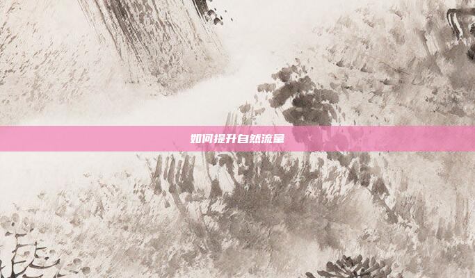 如何提升自然流量