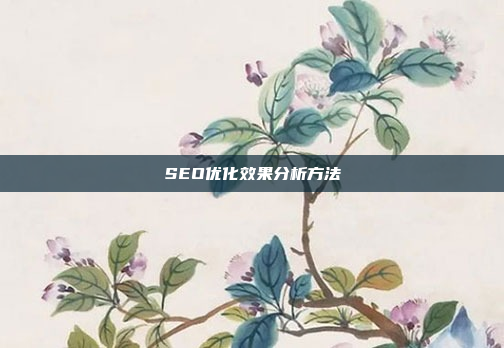 SEO优化效果分析方法