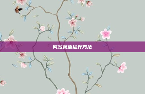 网站权重提升方法