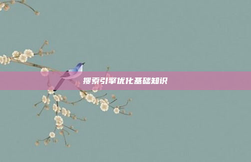搜索引擎优化基础知识
