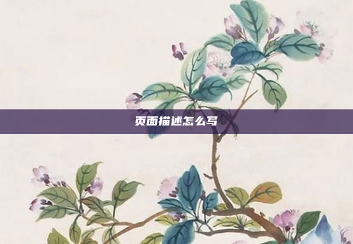 页面描述怎么写