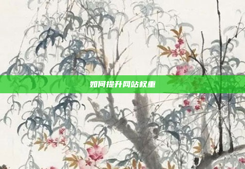 如何提升网站权重
