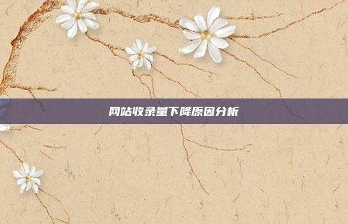 网站收录量下降原因分析