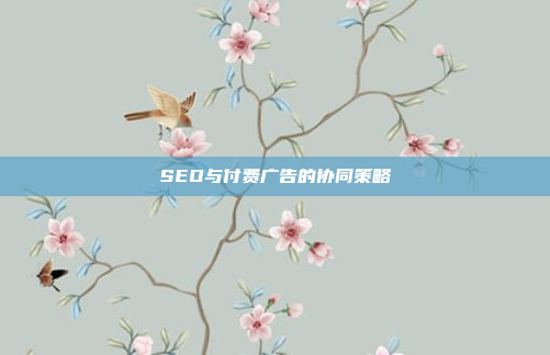 SEO与付费广告的协同策略