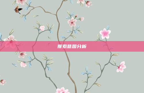 搜索意图分析