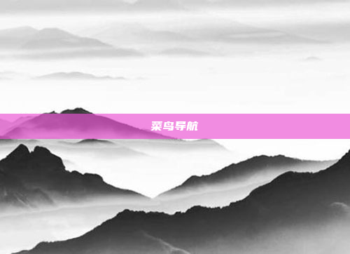 菜鸟导航