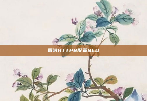 网站HTTP2配置SEO