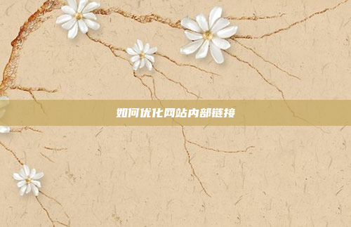 如何优化网站内部链接