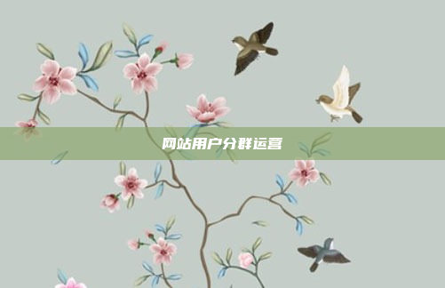 网站用户分群运营