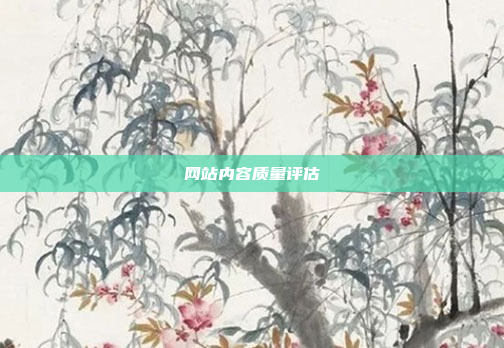 网站内容质量评估