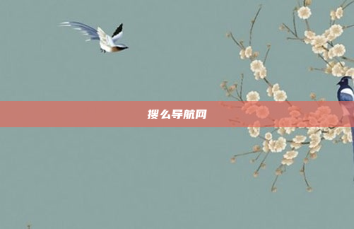 搜么导航网
