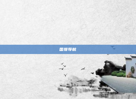 国搜导航