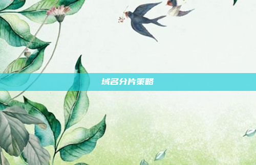 域名分片策略