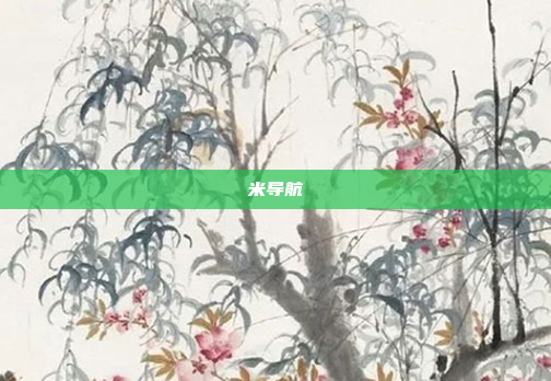 米导航