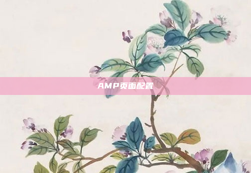 AMP页面配置