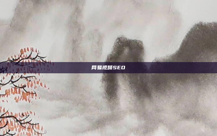 网易视频SEO