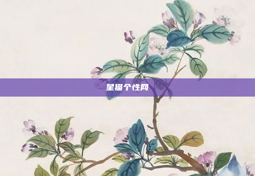 星猫个性网