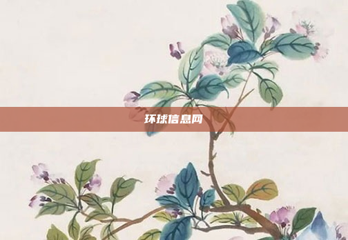 环球信息网