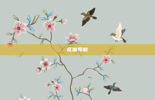 花猫导航