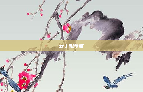 云手机导航