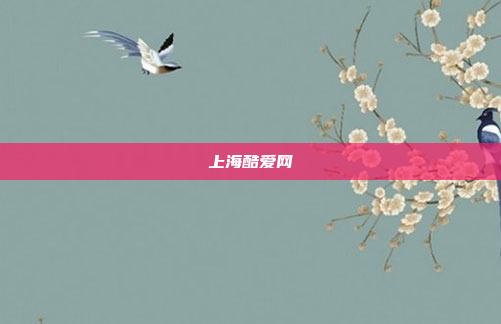 上海酷爱网