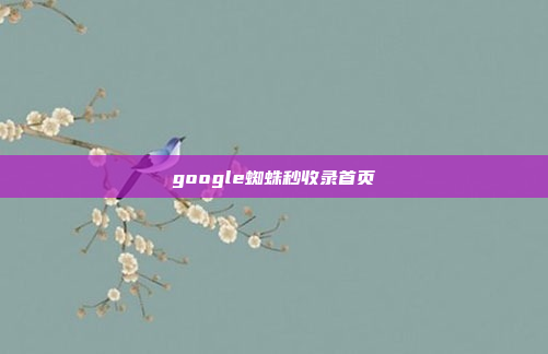 google蜘蛛秒收录首页