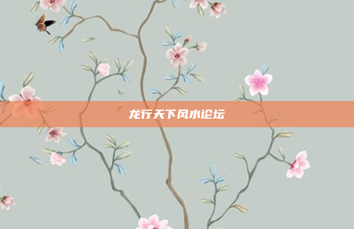 龙行天下风水论坛